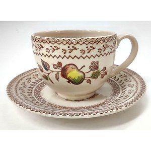 Johnson Brothers Cup and Saucer Fruit Sampler Old Granite Staffordshire England